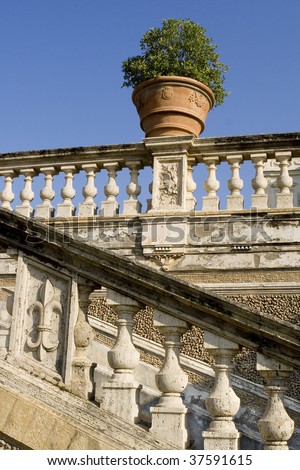 Orange tree in the pot Villa Pamphili,Rome, Italy.