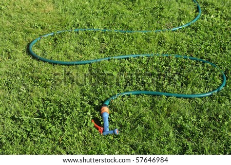 Hose Snake