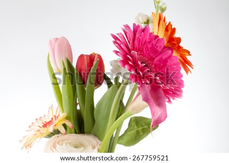 Woman hand holds flowers