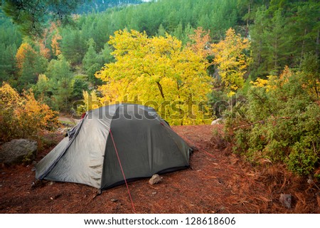 camping tent autumn morning in mountains