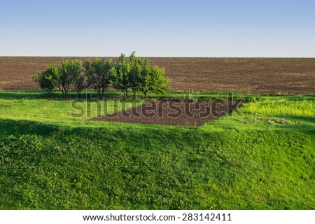 field and the earth, sky and grass, nature landscapes in the country