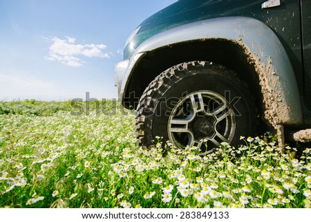 Car wheel in the green grass and flowers. Journey SUV, the plains and the mountains, summer and winter in search of adventure and discovery.