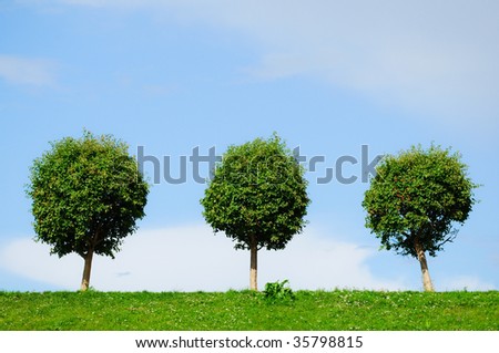 three trees, three rounded trees