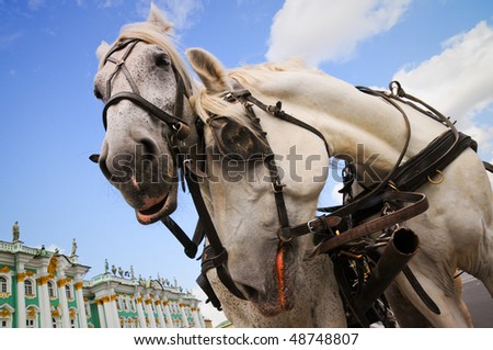 State Hermitage Museum and Horse