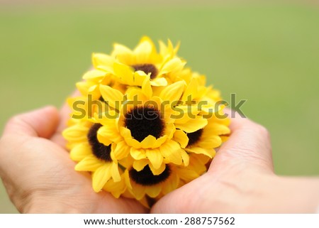 I hold out a hand and a hand and tie a sunflower.