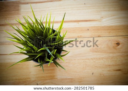 cup of  grass on wooden table