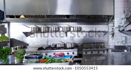 Professional restaurant kitchen in stainless steel with vegetables and meat
