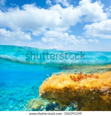 Ibiza Formentera underwater under over waterline blue sky seascape