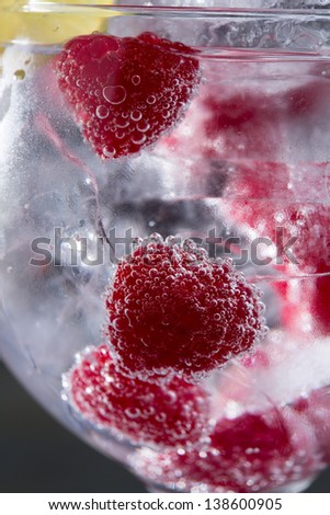 Gin tonic cocktail with raspberry and ice macro bubbles closeup on black