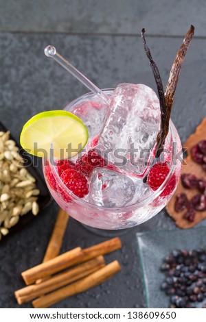 Gin tonic cocktail with raspberry lima slice and ice vanilla cardamom juniper berries on black