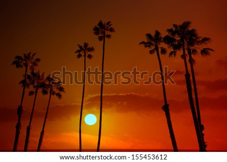 California high palm trees sunset sky silohuette background USA