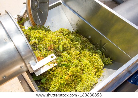 chardonnay corkscrew crusher destemmer in winemaking with grapes