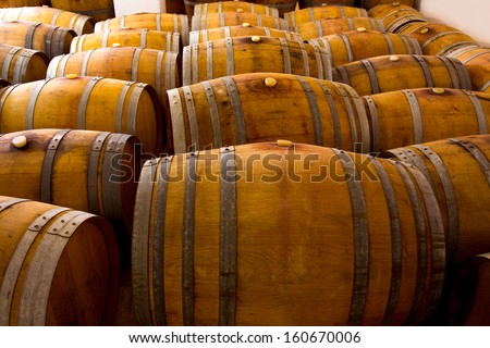 wine barrels oak wood in mediterranean winery