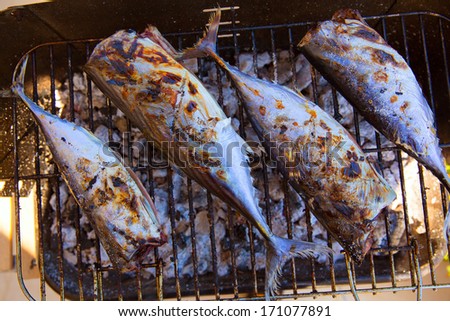 Bar-b-cue tuna fish barbecue with bonito sarda and little tunny