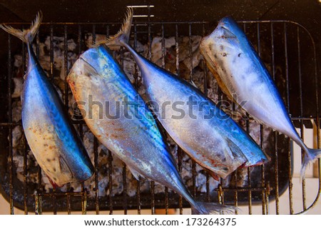 Bar-b-cue tuna fish barbecue with bonito sarda and little tunny