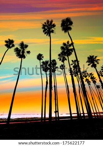 California Sunset Palm Tree Rows In Santa Barbara Us [Photo Illustration]
