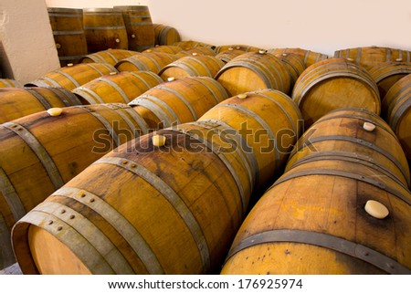 wine barrels oak wood in mediterranean winery