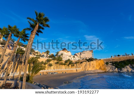 Benidorm Alicante playa del Mal Pas beach at sunset in Spain with palm trees