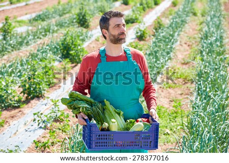 Farmer man harvesting vegetables in Mediterranean orchard field
