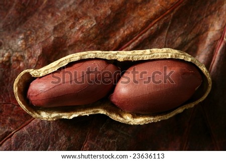 Peanuts macro over warm wood background