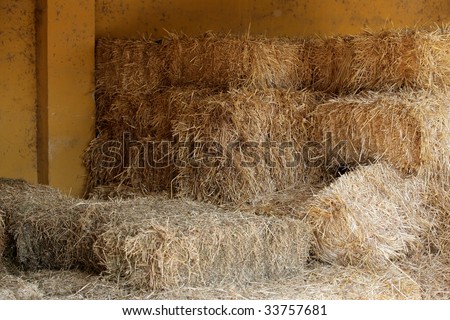Golden straw barn stacked on the farm
