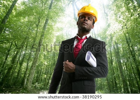 Architect with plans and helmet in an ecological forest project [Photo Illustration]