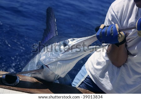 Billfish white Marlin catch and release on boat board