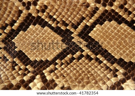 Background snake skin pattern brown and beige color