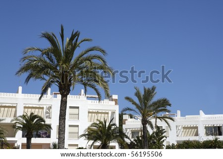 mediterranean white houses architecture palm trees blue sky