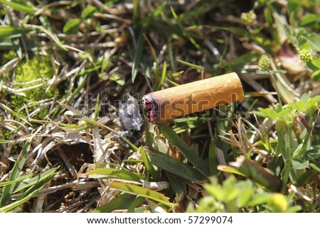 cigarette fire hazard on forest grass closeup detail