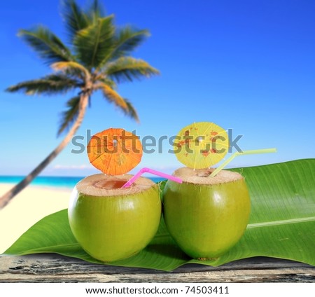 fresh coconuts straw cocktails on tropical palm tree caribbean beach [Photo Illustration]