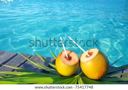 coconuts cocktail palm tree leaf in Caribbean tropical sea [Photo Illustration]