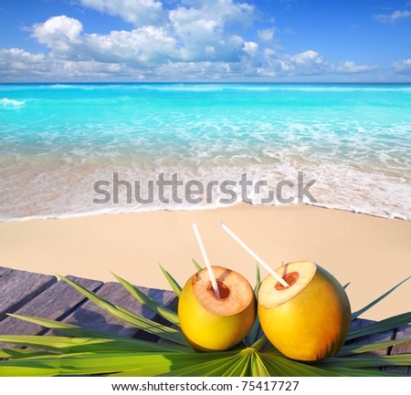 Caribbean paradise beach coconuts cocktail palm trees [Photo Illustration]
