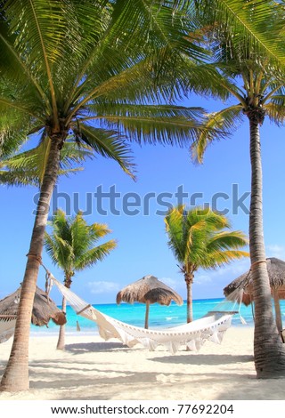 Caribbean beach hammock and palm trees in Mayan Riviera Mexico