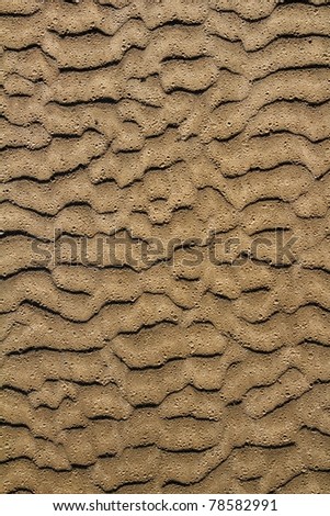 beach sand waves pattern texture brown wet color background