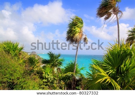 Caribbean beach in Tulum Mexico turquoise aqua with chit palm trees