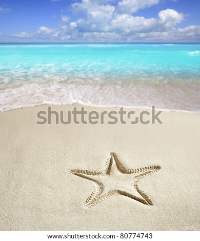 stock photo caribbean beach with starfish print on white sand such as a 