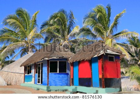 hut palapa colorful with tropical cabin and  palm trees [Photo Illustration]