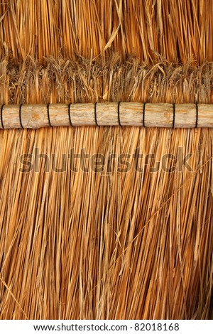 palapa tropical Mexico wood cabin roof detail indoor