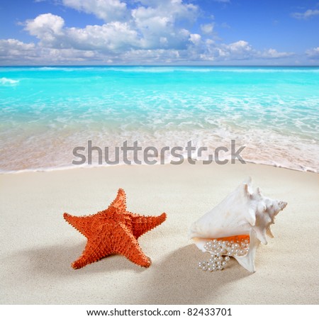Sand With Starfish