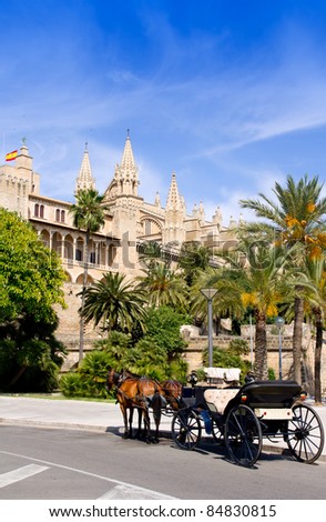 Carriage with horses in Palma de Mallorca cathedral with palm trees