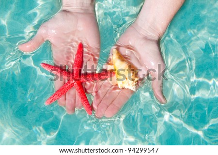 Hands holding starfish and seashell in ripple clean sea tropical water