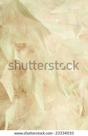 fluffy peaches and cream feather background