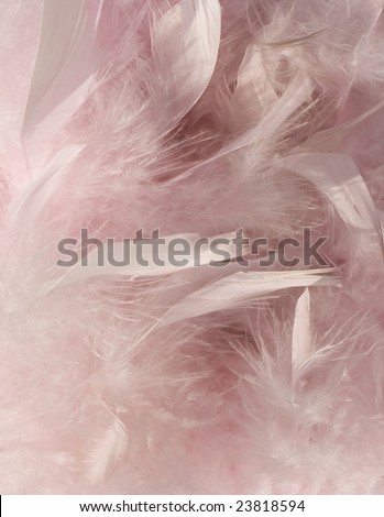 fluffy pink feather background with corner highlight