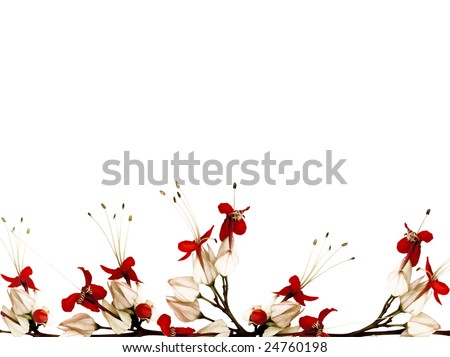 black and white flowers border. stock photo : red lack and