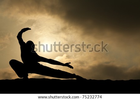 Martial Arts Man Silhouette on Dramatic Sky Background