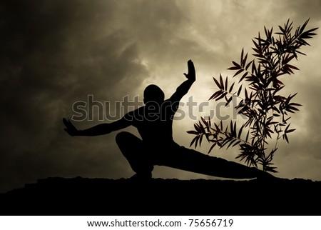 Kung Fu Martial Art Background