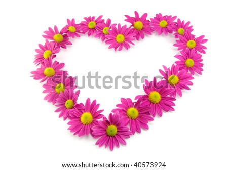 pink flowers images. stock photo : pink flowers in