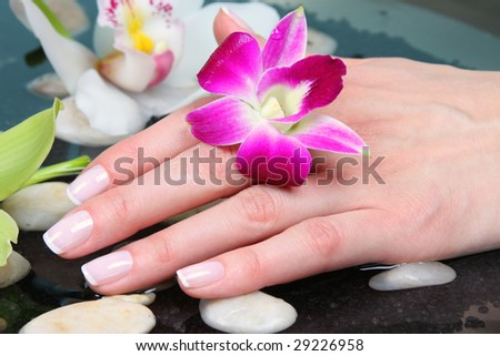 Body Care - Palm of woman in water bath among flowers.