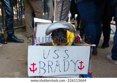 NEW YORK - OCTOBER 25, 2014: Scenes from The 24th Annual Tompkins Square Halloween Dog Parade